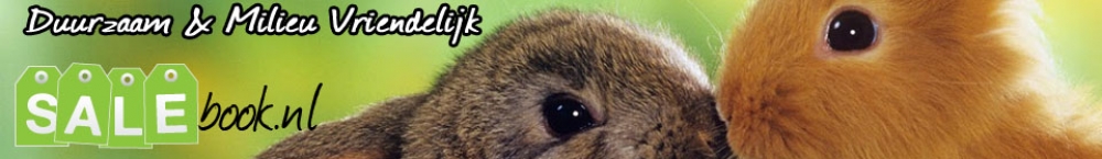 banner3